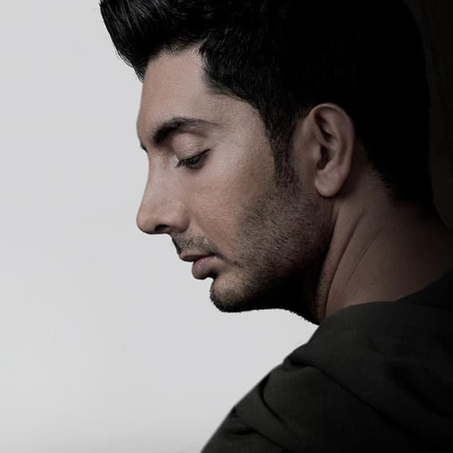 Farzad Farzin's artist profile image