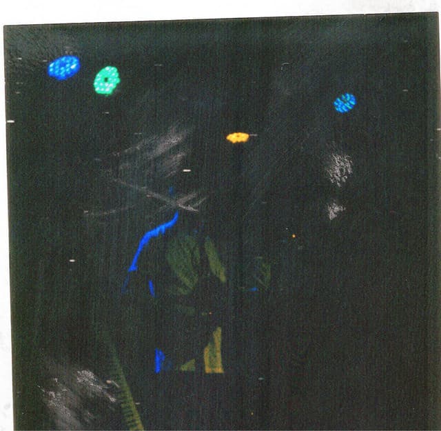 Kitchen's artist profile image
