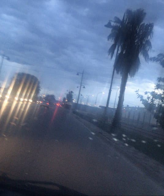 Baby Pantera artist profile image