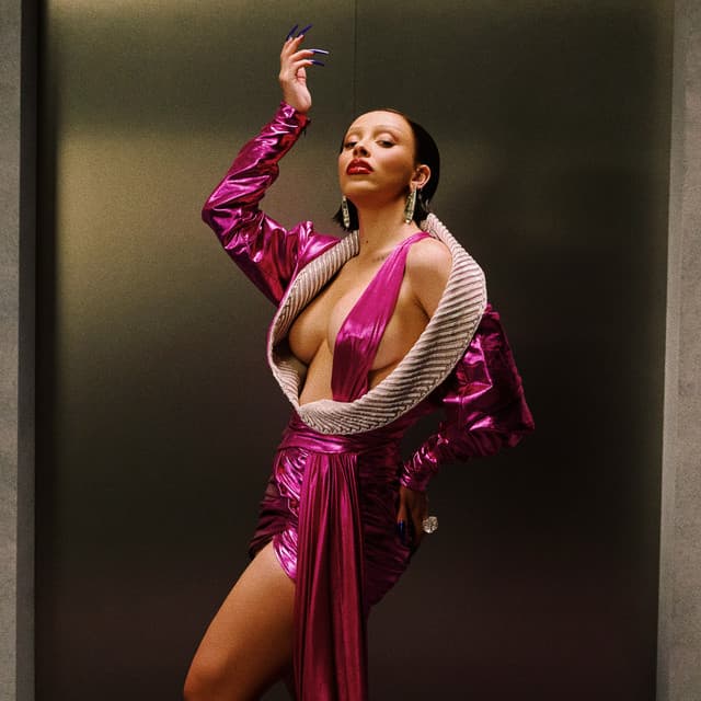 Doja Cat's artist profile image