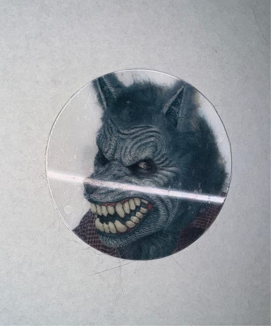 The Goin' Nowheres artist profile image