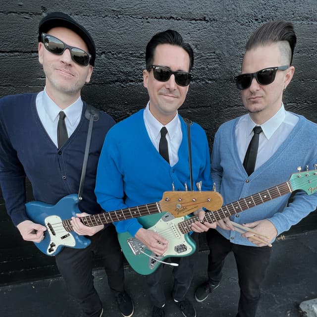 The Volcanics's artist profile image