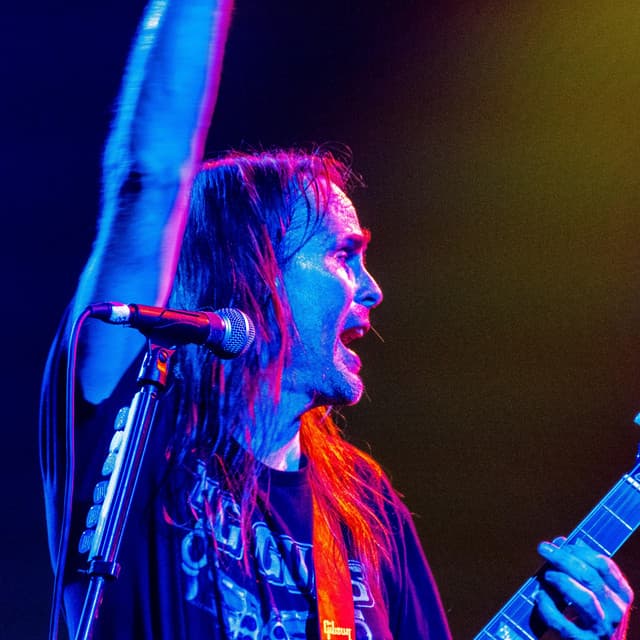 Breach the Asylum artist profile image