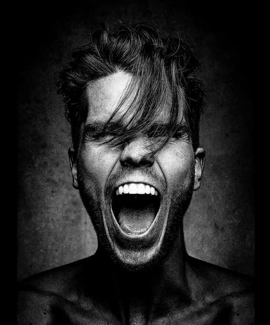 KALEO's artist profile image