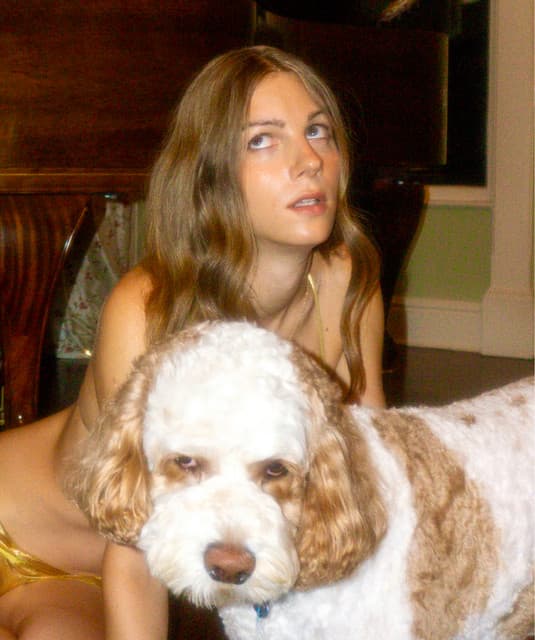 Cute Door artist profile image