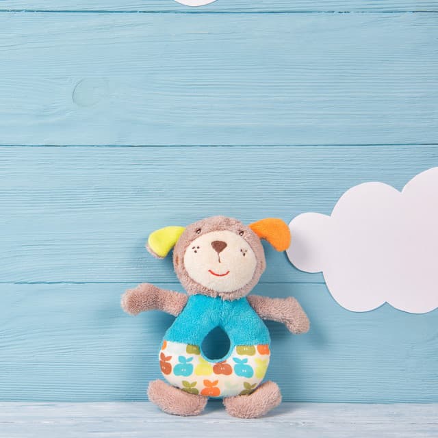 Baby Bears artist profile image