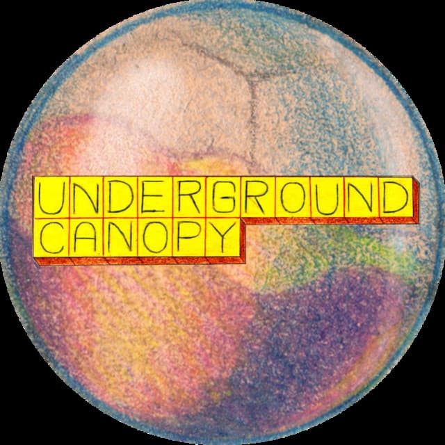 Underground Canopy artist profile image