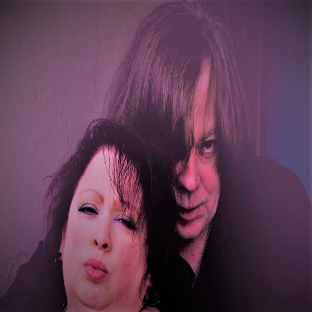 The Darren Holland Project artist profile image