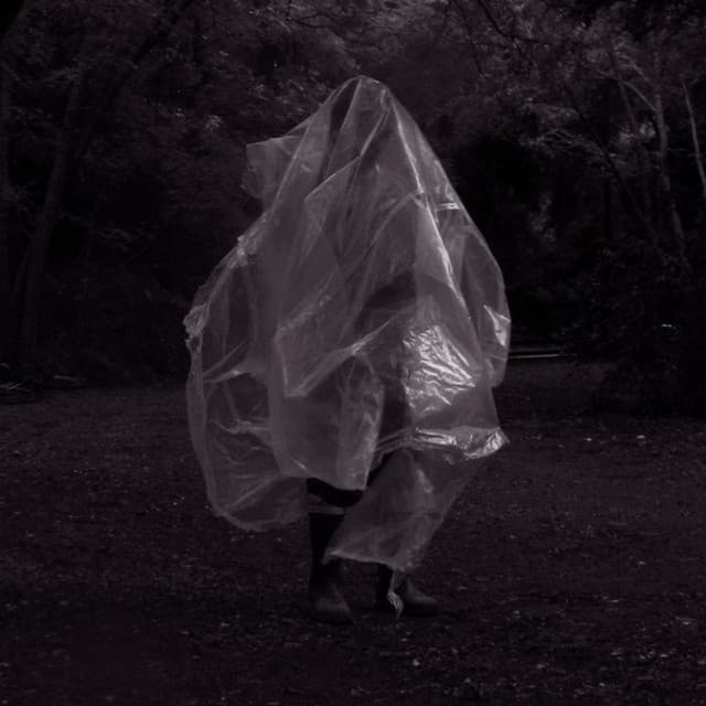 San Ignacio artist profile image