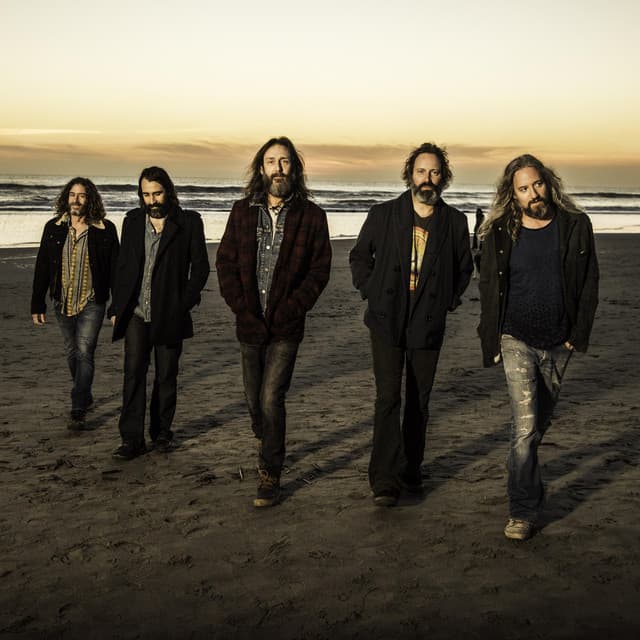 Chris Robinson Brotherhood artist profile image