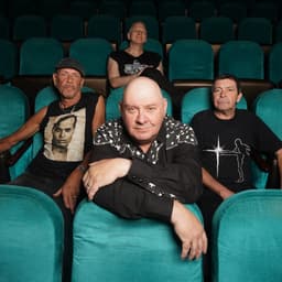 Stiff Little Fingers's artist profile image