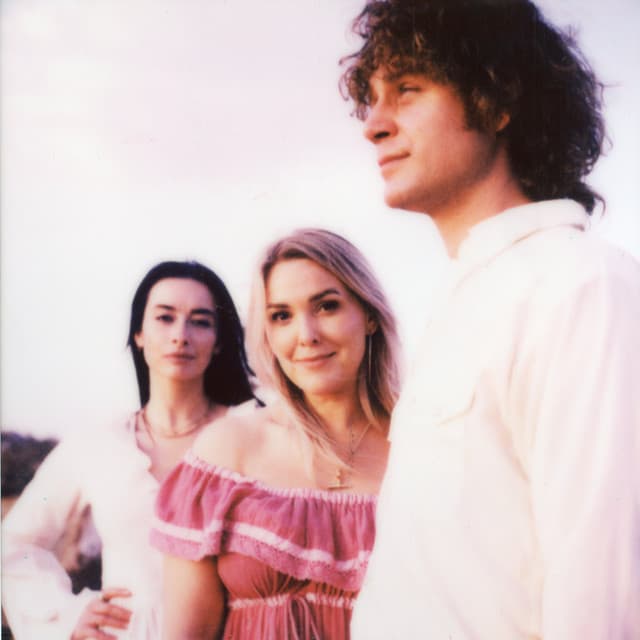 The Wandering Hearts artist profile image