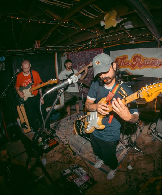 American Beauty artist profile image