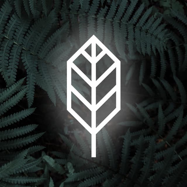 Plantrae artist profile image