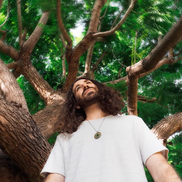 Smile High artist profile image