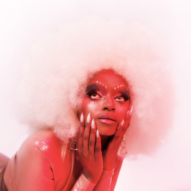 Turunesh artist profile image