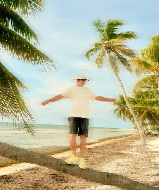The Palm Tree Boy artist profile image