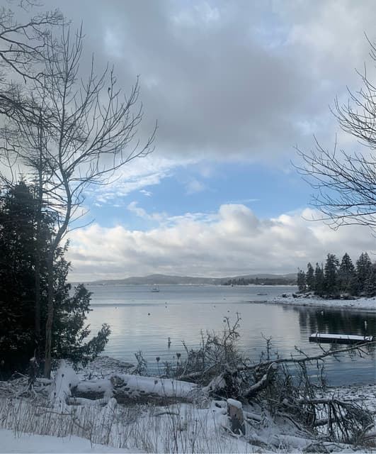 morningtime artist profile image