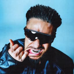 DJ Pauly D's artist profile image