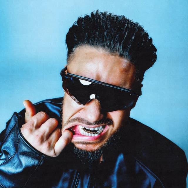 DJ Pauly D's artist profile image