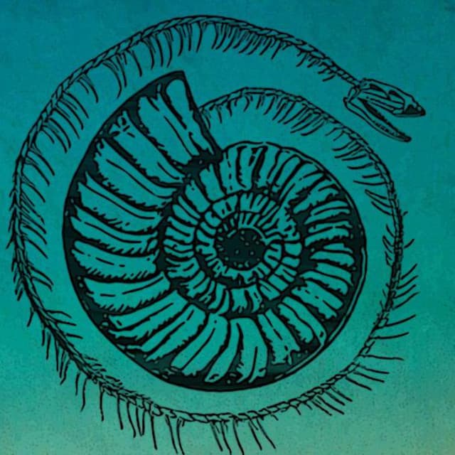 The Narcissist Cookbook artist profile image