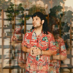 Flamingosis's artist profile image