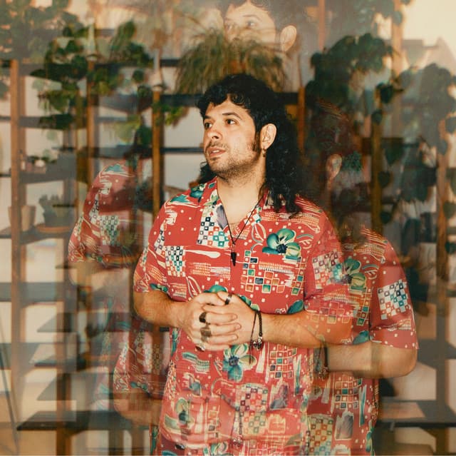 Flamingosis's artist profile image