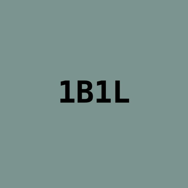 1B1L artist profile image