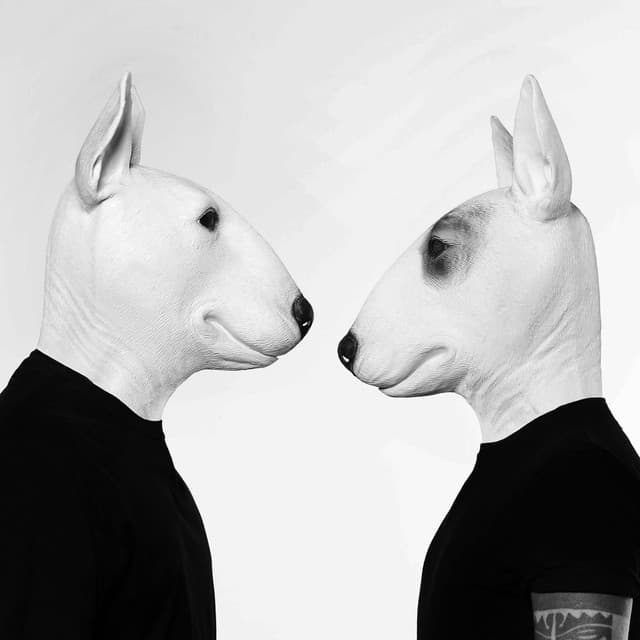 Neverdogs artist profile image