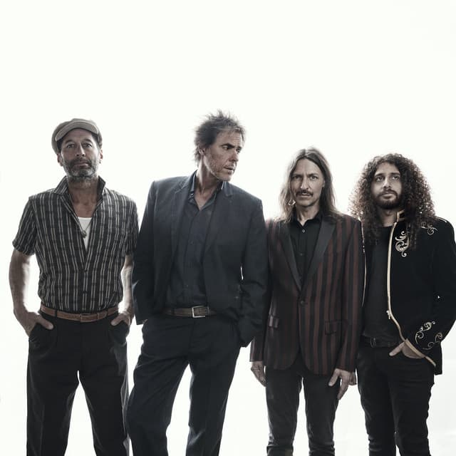 The Whitlams artist profile image