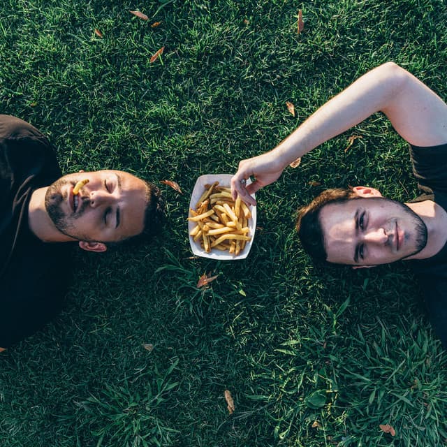 Disco Fries artist profile image