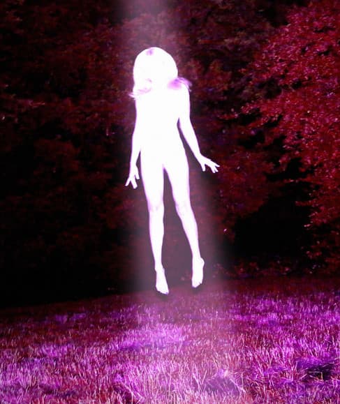 Sidewalks and Skeletons artist profile image