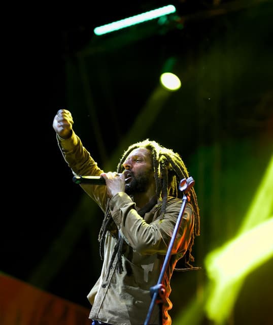 Julian Marley's artist profile image