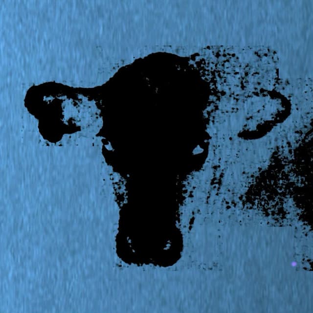 waveform* artist profile image