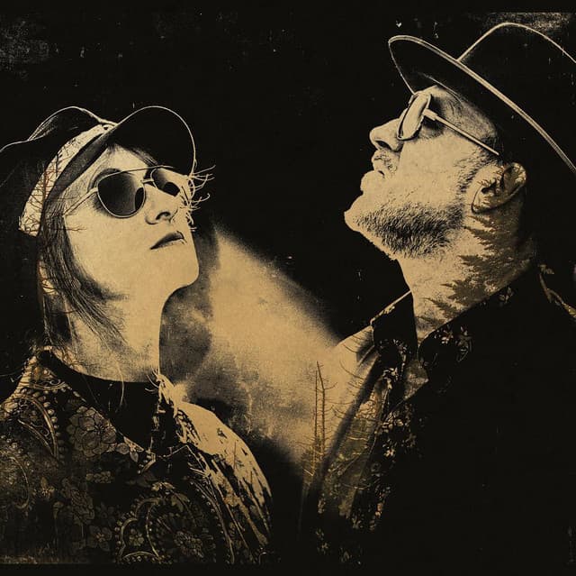 My Darling Clementine artist profile image