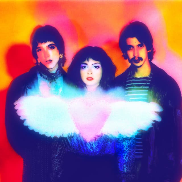 The Velveteers's artist profile image