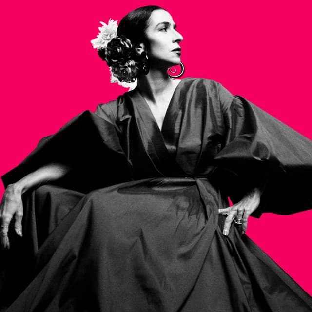 Marisa Monte's artist profile image