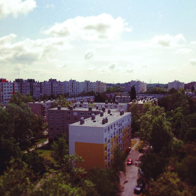 Dreams of Virginia artist profile image