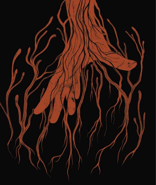 Moonstone artist profile image