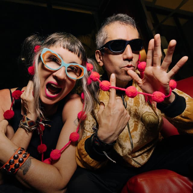 Aterciopelados's artist profile image