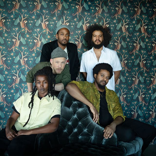 Irreversible Entanglements's artist profile image