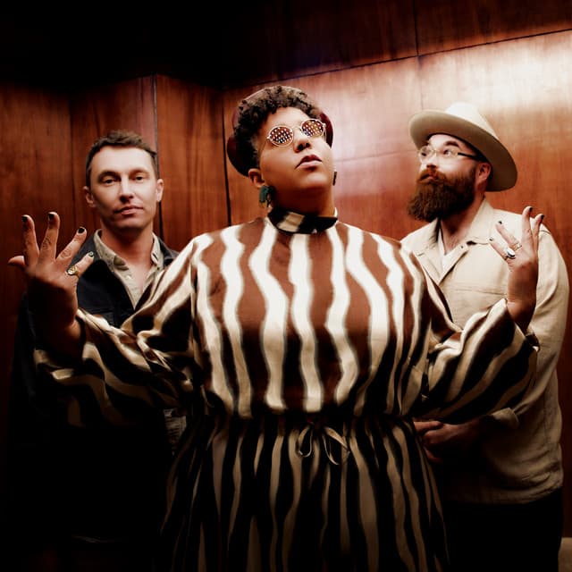 Alabama Shakes's artist profile image