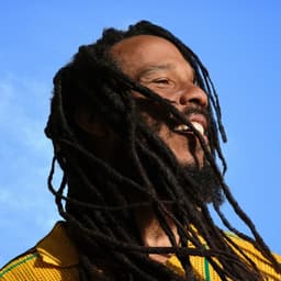 Ziggy Marley's artist profile image