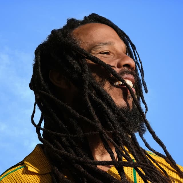 Ziggy Marley artist profile image