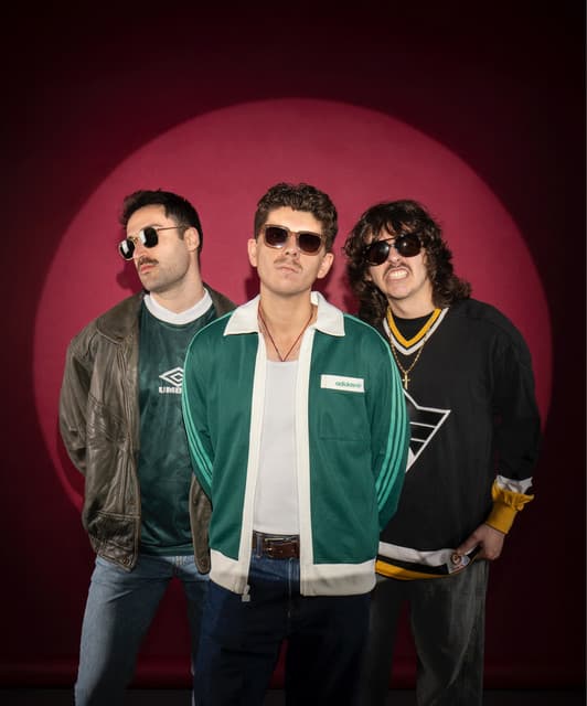 The Vaniers artist profile image