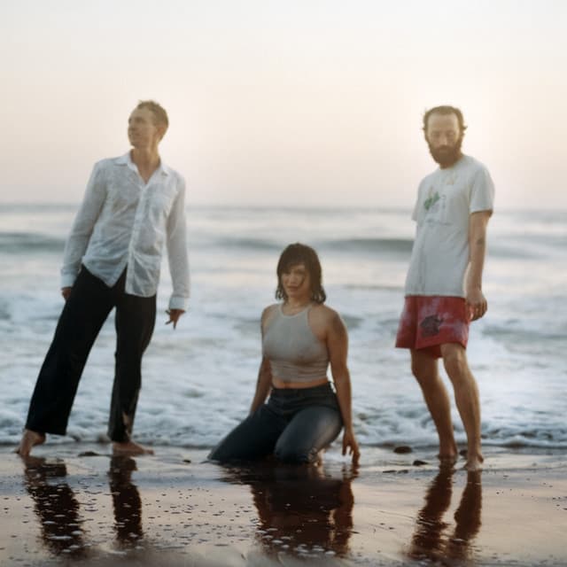 Big Thief's artist profile image