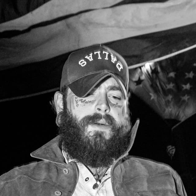 Post Malone's artist profile image