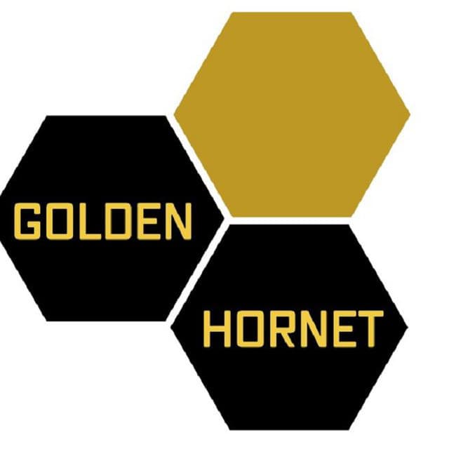 Golden Hornet artist profile image