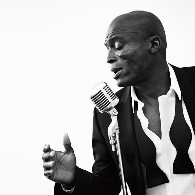 Seal artist profile image