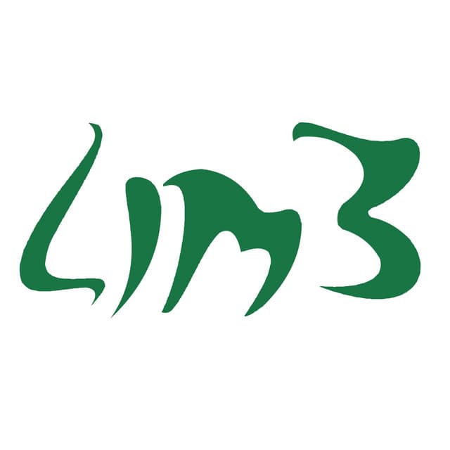 LIM3 artist profile image